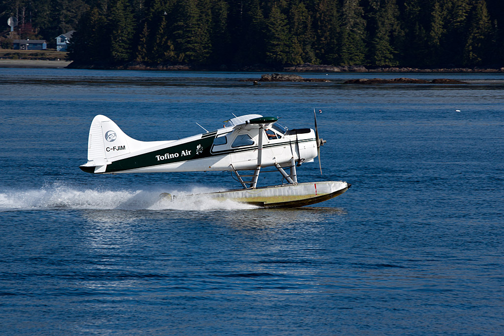 Tofino