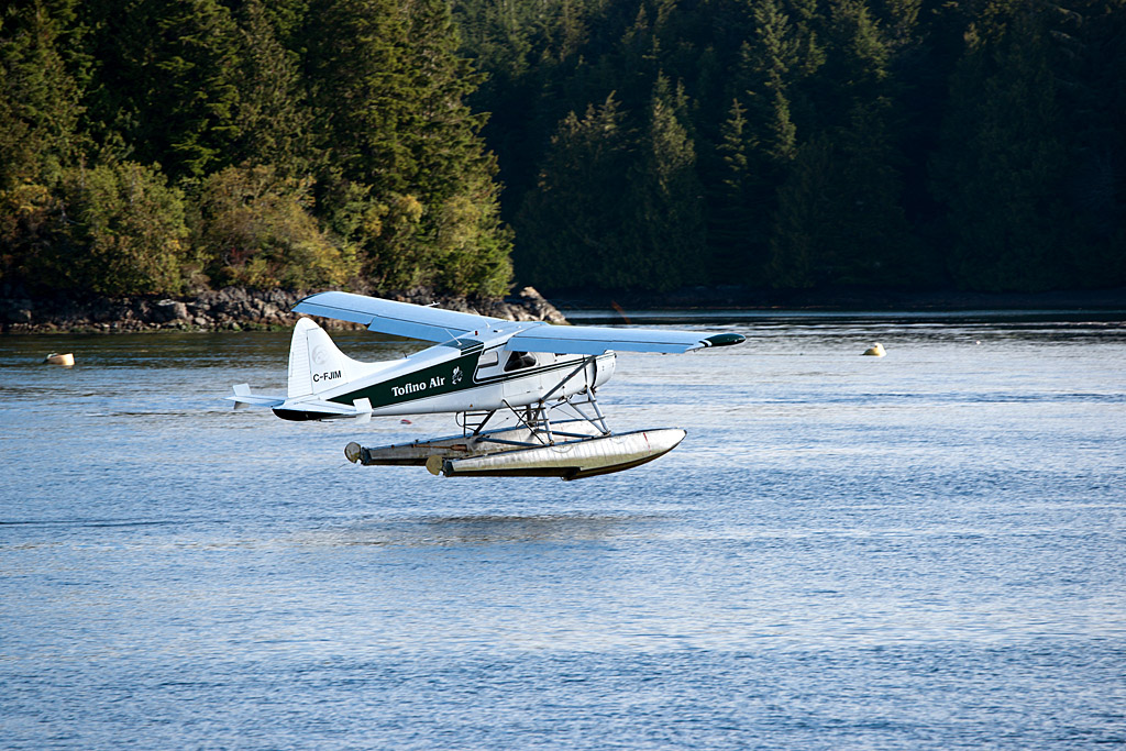 Tofino