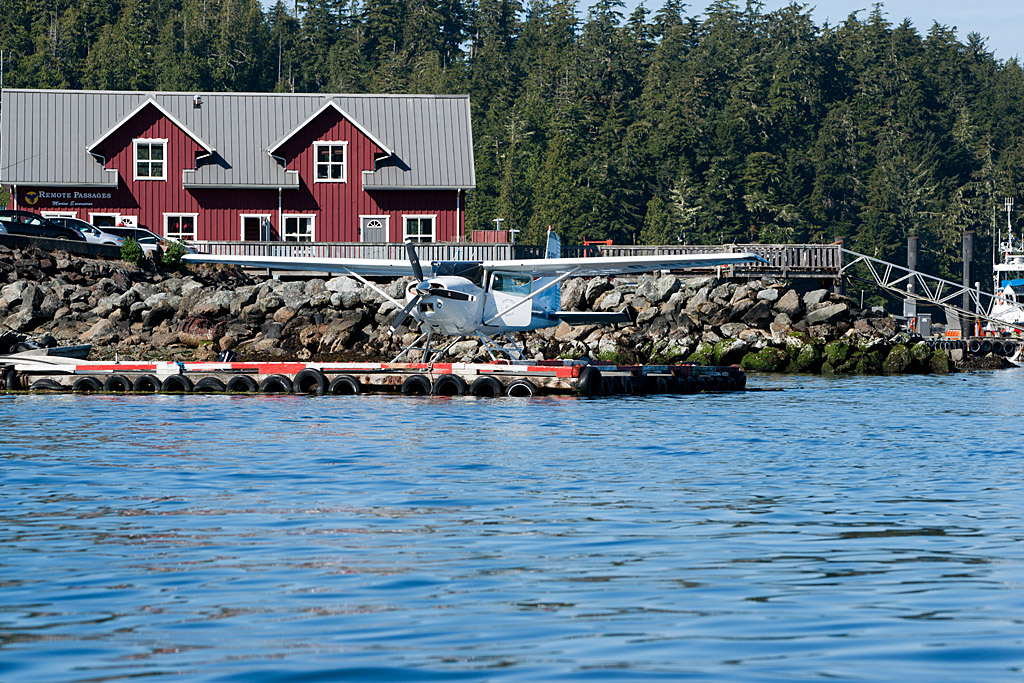 Tofino